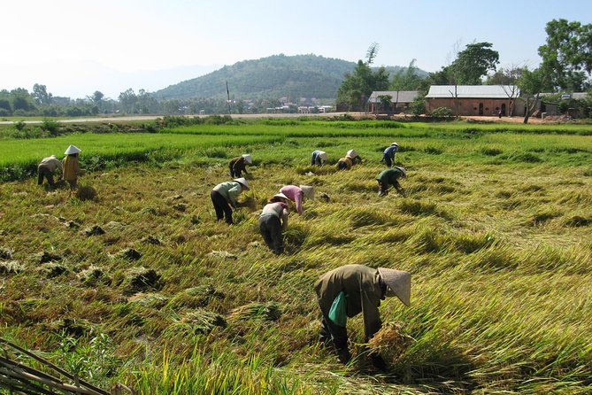 Dalat - Central Highlands - Nha Trang - Unveiling the Natural Wonders of Nha Trang