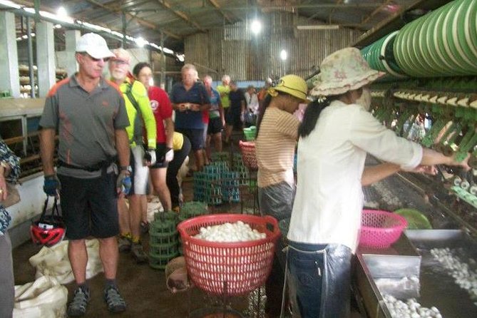 Dalat - Central Highlands - Nha Trang - Planning Your Dalat - Central Highlands - Nha Trang Itinerary