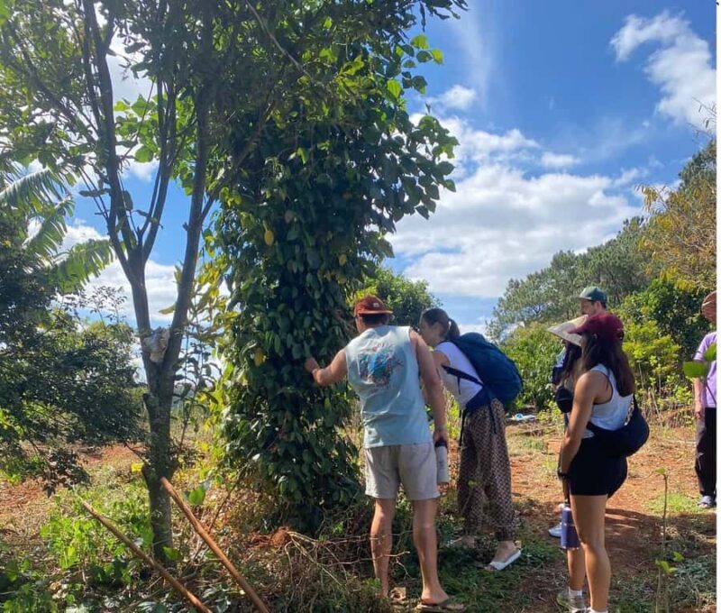 Dalat: Coffee Farm Tour with Pocahontas Cooking Class - Practical Details and Considerations