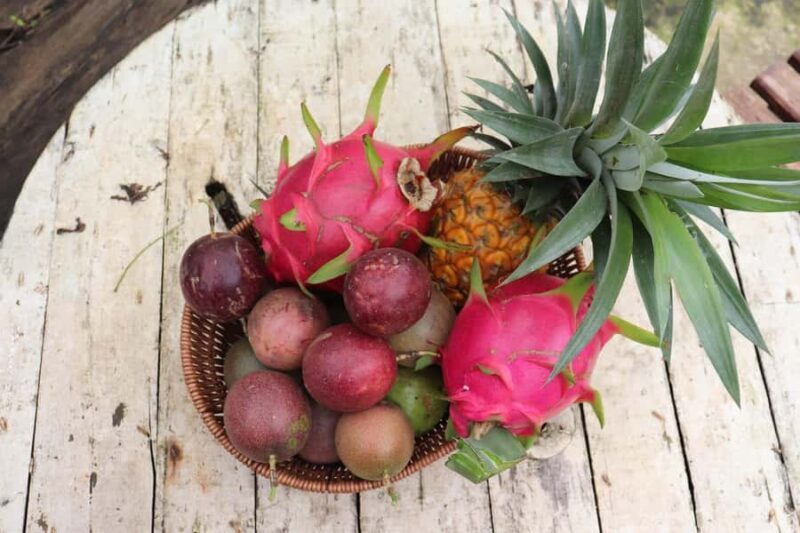 Dalat: Coffee Farm Tour with Pocahontas Cooking Class - The Sum Up