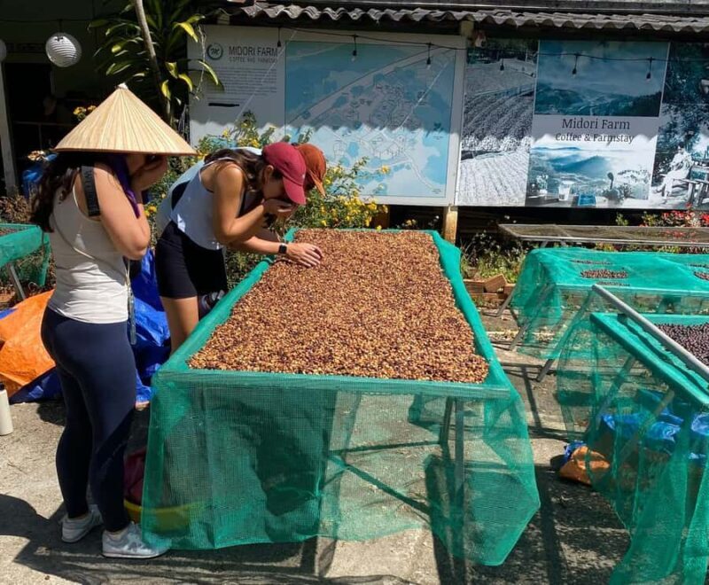Dalat: Coffee Farm Tour with Pocahontas Cooking Class - Final Thoughts: Who Will Love This Tour?