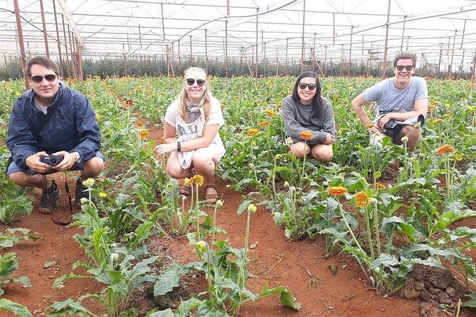 Dalat Countryside Tour Elephant Falls - The Sum Up
