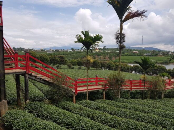 Dalat: Countryside Tour With Silk Village & Elephant Falls - Positive Reviews From Travelers