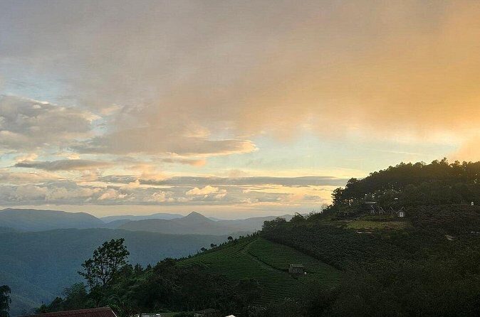 Dalat Early Morning Trek Featuring the Sunrise and Sea of Clouds - FAQ