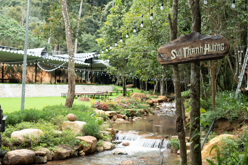 Dalat Elephant Mountain Pine Forest Ticket - Expect a park visit, not a fixed tour route