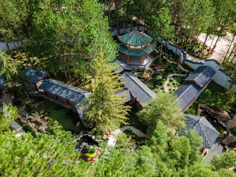Dalat Elephant Mountain Pine Forest Ticket - Getting there and planning a useful visit