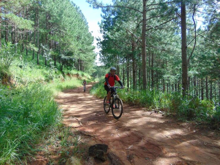 Dalat: Elephant Waterfall Countryside Bike Tour - Tour Highlights