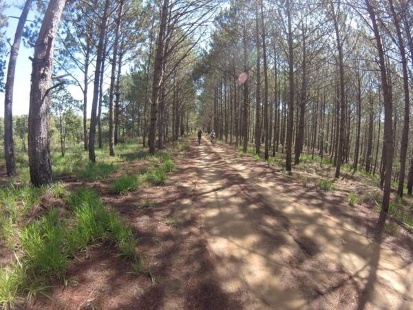 Dalat: Elephant Waterfall Countryside Bike Tour - The Sum Up