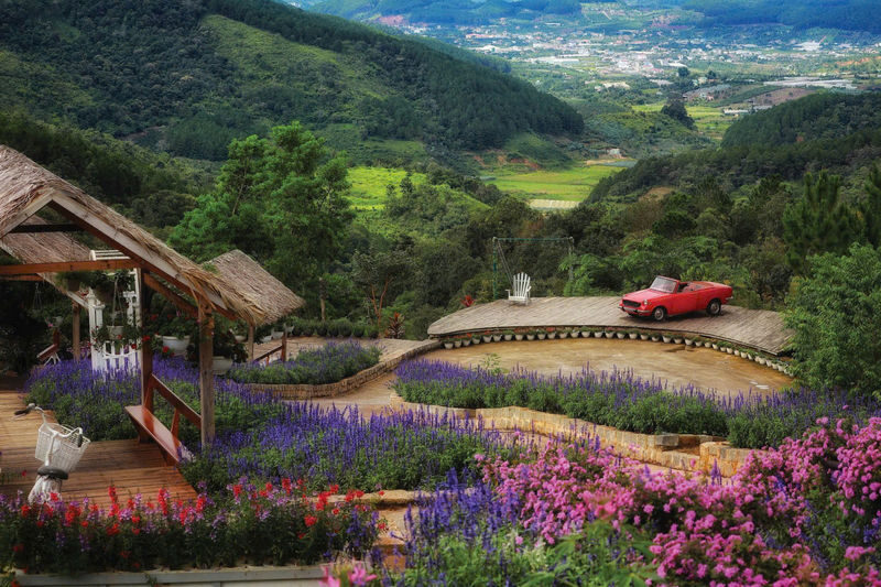Dalat Flower Highland Ticket - A pine-forest escape just beyond Da Lat