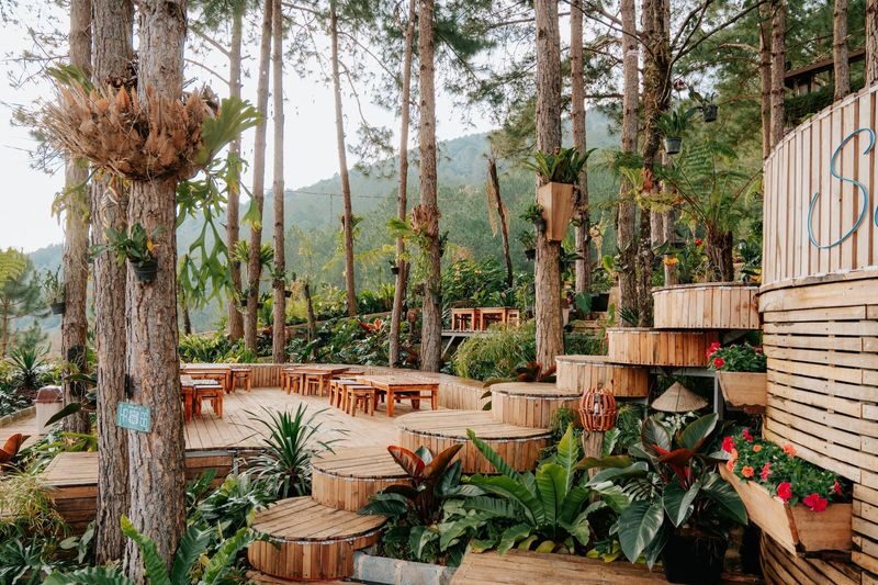Dalat Flower Highland Ticket - Work out the real value before you book