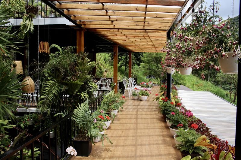 Dalat Flower Highland Ticket - Should you book it?