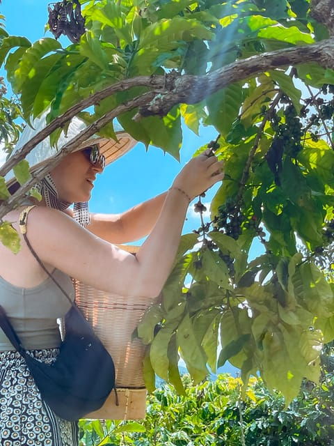 Dalat Half-Day Coffee Experience Tour - Customer Reviews