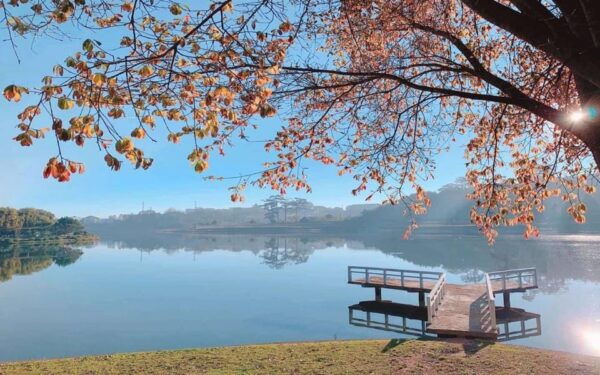 Dalat Highlights: Must-See Attractions in the City - Dalat Square