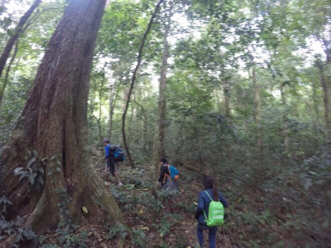 Dalat Jungle Fever Trekk - Scenic Views and Wildlife