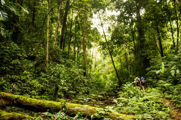 Dalat Jungle Fever Trekk - Pricing and Booking Information