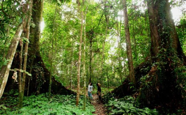 Dalat Jungle Fever Trekk - Frequently Asked Questions