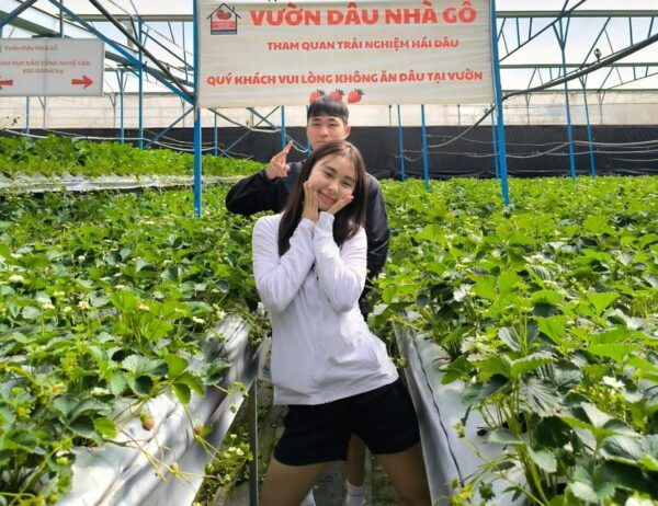 DaLat: Langbiang Mountain-Datanla Waterfall-Crazy House Tour - Participant Restrictions