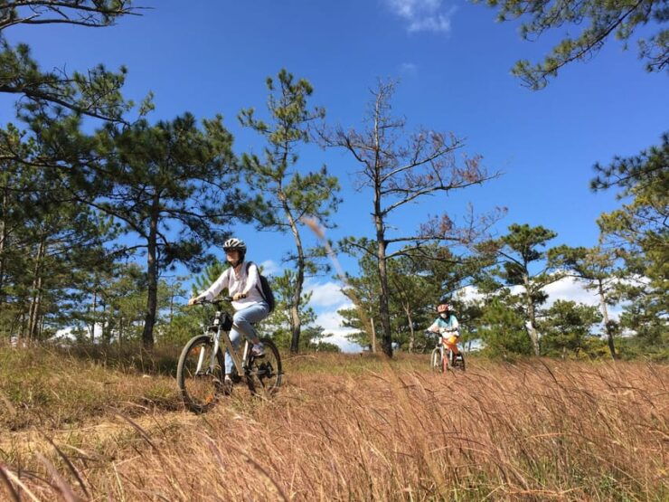 Dalat Mountain Biking Tour - Experience and Itinerary