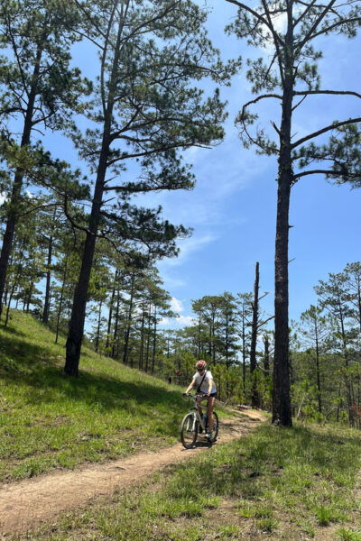 Dalat Mountain Biking Tour - Best Time to Go