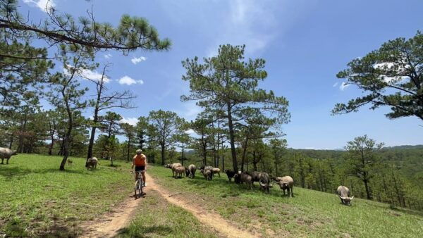 Dalat Mountain Biking Tour - Frequently Asked Questions