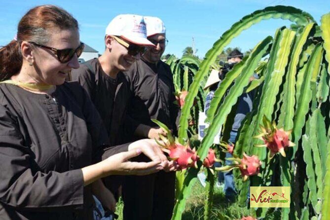 Dalat - Nha Trang Motorbike: Local Hidden Gems - An In-Depth Look at the Itinerary