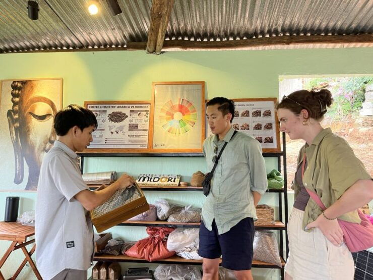 Dalat Organic Farm, Discover How to Make Specialty Coffee - Coffee Processing