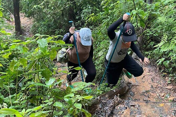 Dalat Pinhatt Peak Jungle Trek and Tuyen Lam Lake - What Makes This Tour Stand Out?