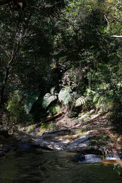 Dalat: Silent Tour Hiking, Swiming Waterfall - What to Expect on Your Trip