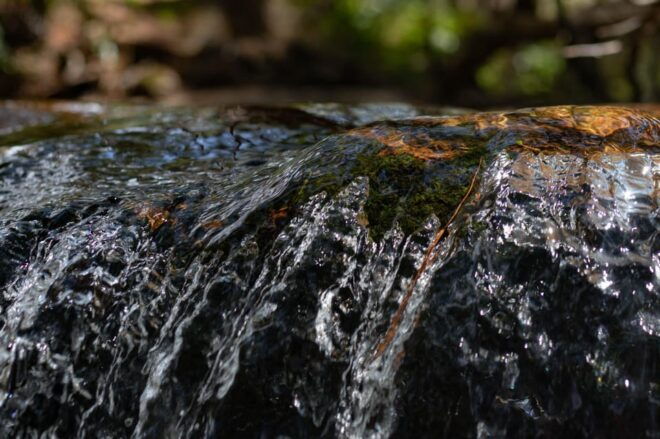 Dalat: Silent Tour Hiking, Swiming Waterfall - Detailed Itinerary Breakdown