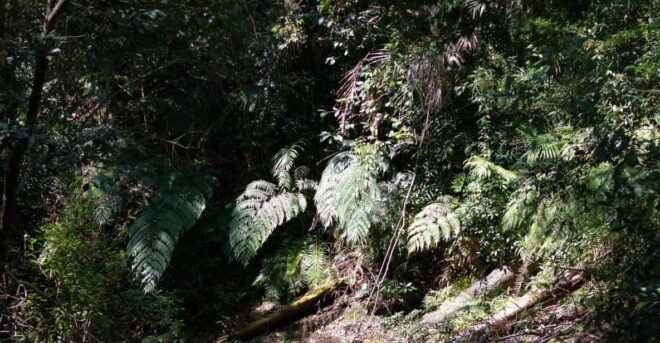 Dalat: Silent Tour Hiking, Swiming Waterfall - Inclusions and Exclusions