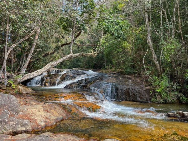 Dalat: Silent Tour Hiking, Swiming Waterfall - Frequently Asked Questions
