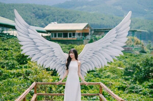 DALAT SMALL GROUP WATERFALLS & COUNTRYSIDE FULL DAY TOUR - Booking and Cancellation Policy