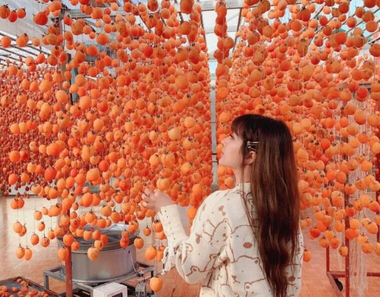 Dalat: Sunrise, Clouds, Peaceful Mornings From 4:00 to 10:00 - Tour of the Persimmon Drying Facility