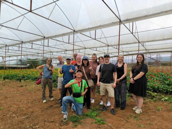 Dalat: Three Waterfalls Tour ( Pongour, Datanla, Elephant ) - Booking Details