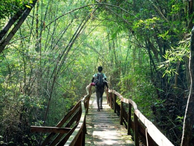 Dalat to Cat Tien National Park & Saigon (3 Days) - Itinerary Overview