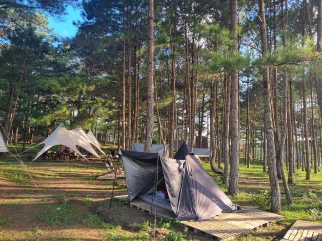 Dalat : TREKKING PINHAT And SUP / KAYAK AT TUYEN LAM LAKE - Whats Included in the Tour