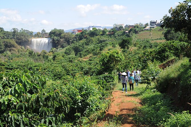 Dalats Countrysidecoffee Plantations Tour Beyond Elephant Falls - Traveler Photos