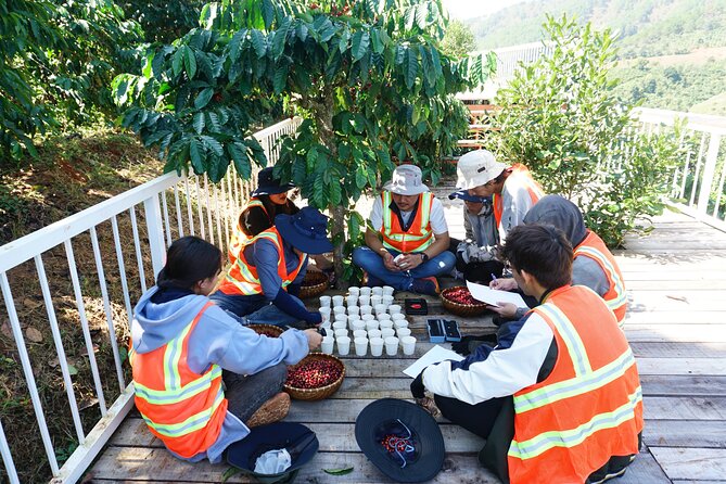 Dalats Countrysidecoffee Plantations Tour Beyond Elephant Falls - The Sum Up