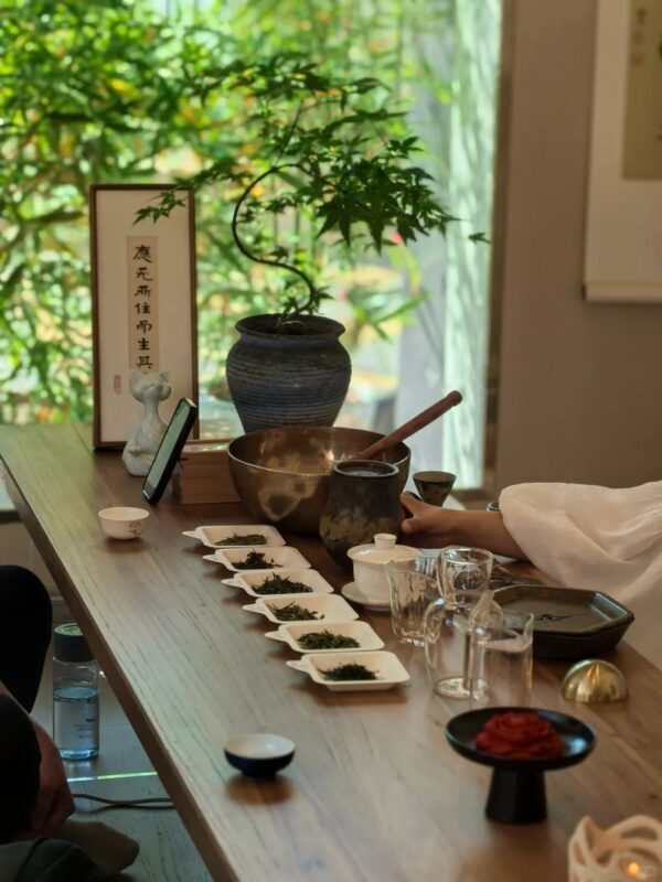 Dali Cangshan Tea Picking and Making Intangible Cultural Heritage Study Tour Experience - Pressing tea into a cake