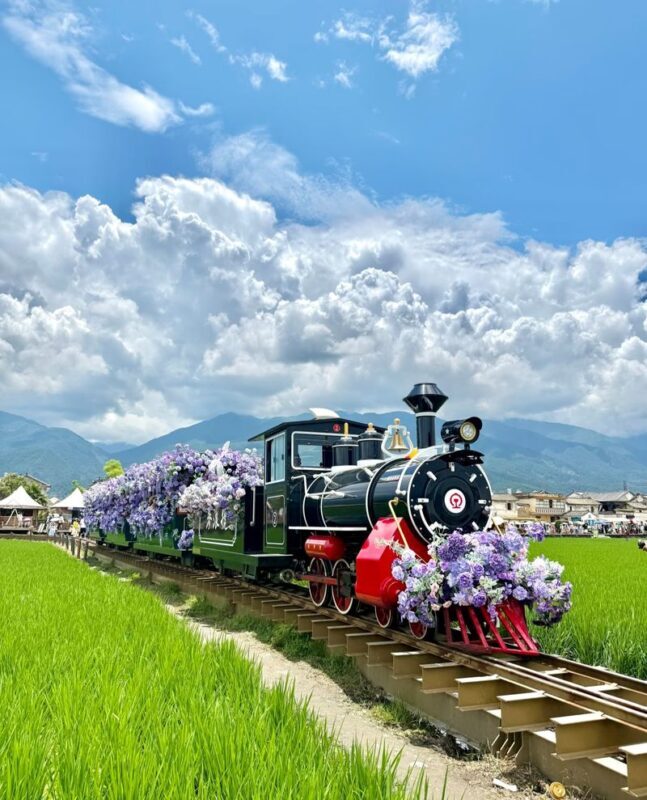 Dali Chongsheng Temple & Xizhou Old Town Full-Day Tour - Small group, smoother day