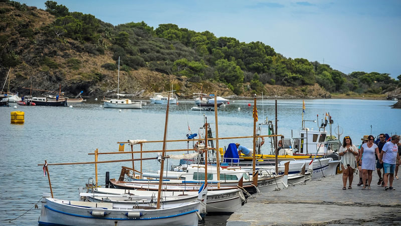 Dali Museum & Figueres Half-day Museum & Guided Tour - The optional visit to Dalí’s former home