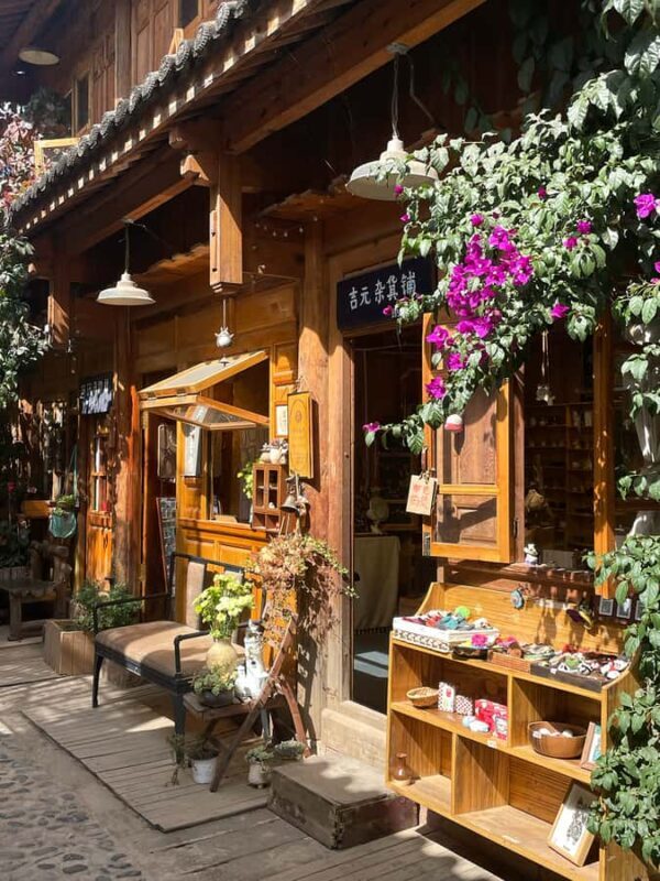 Dali: Private Guided Tour with Local Artist - Practical Details and Value