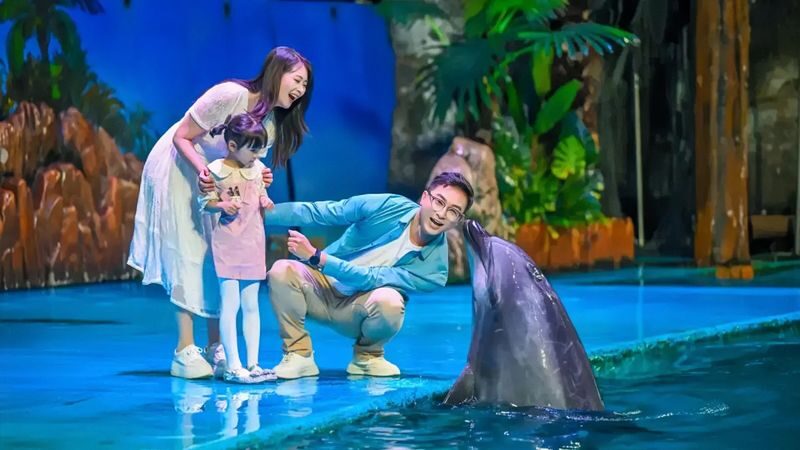 Dalian Laohutan Ocean Park - A coastal park with several kinds of stops