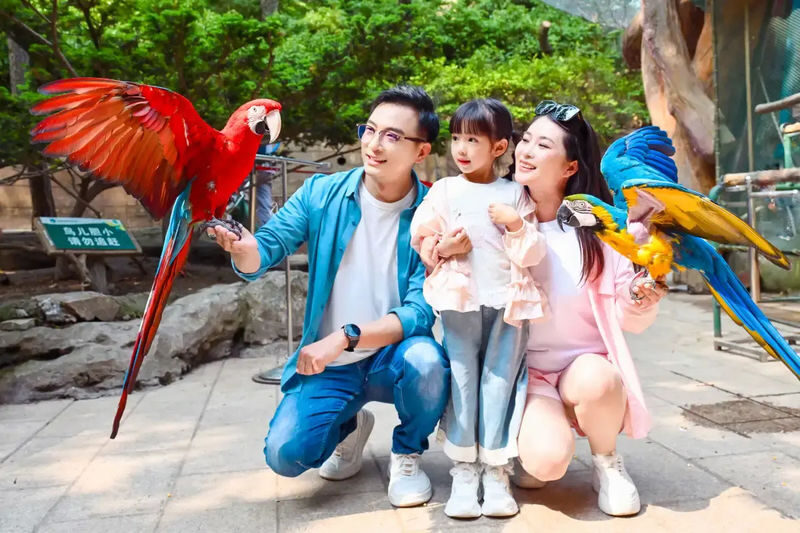 Dalian Laohutan Ocean Park - Set aside time for Happy Theater