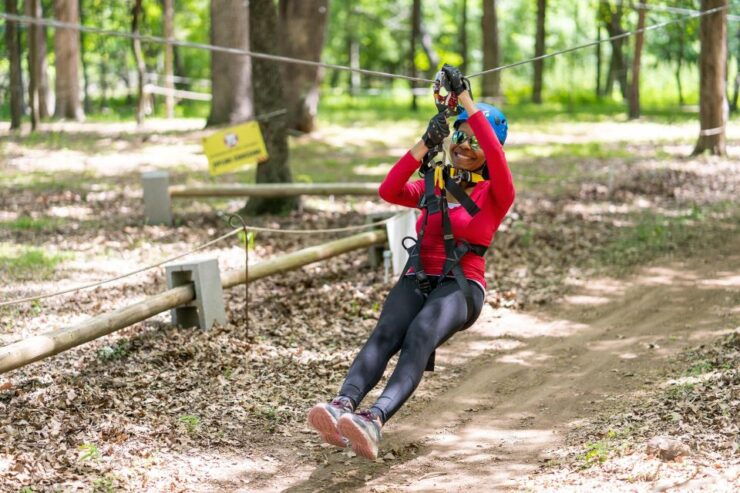 Dallas: Aerial Adventure Course Park Pass - Good To Know