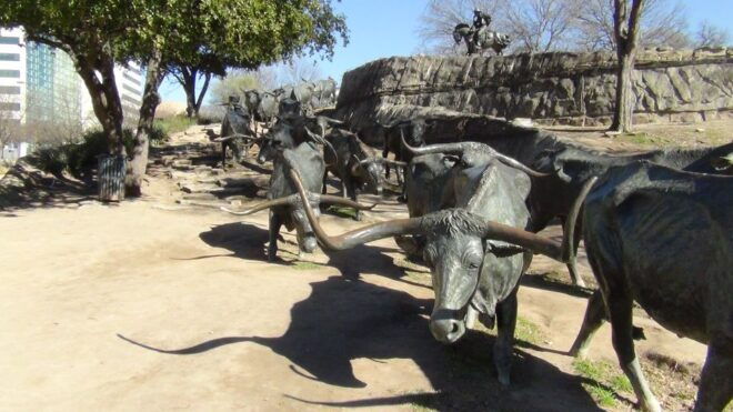 Dallas: Dallas & Fort Worth Combination City Tour - Customer Reviews and Feedback