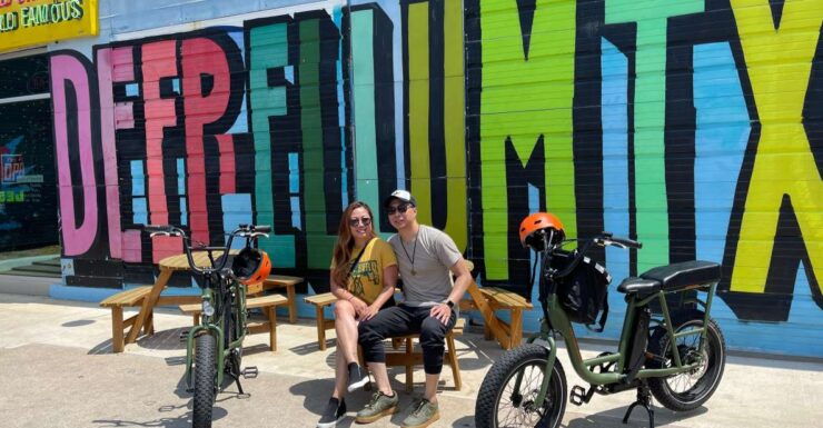 Dallas From the Saddle: a Gps-Guided Mural Bike Tour - Experience Highlights