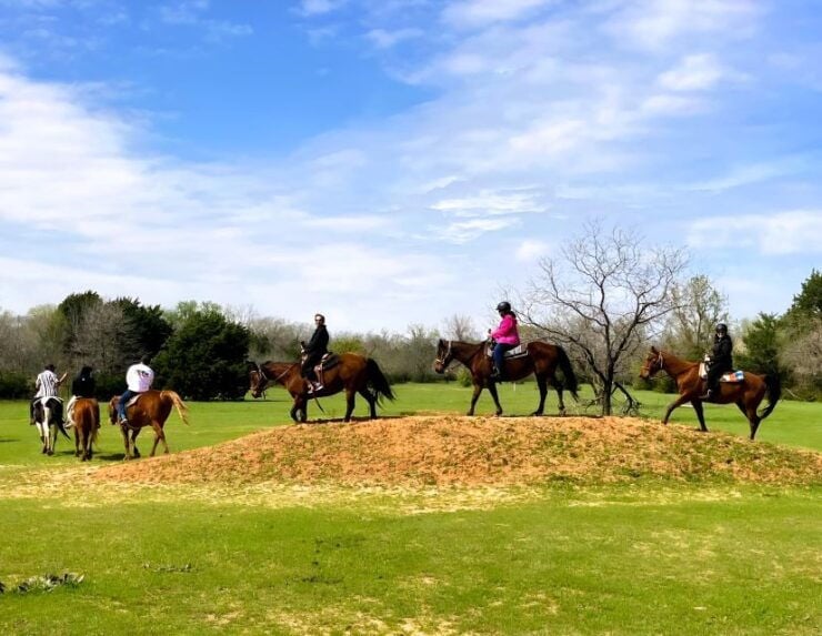 Dallas: Horseback Trail Riding Tour - Experience Highlights