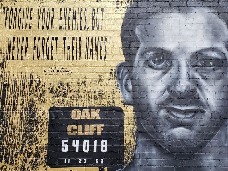 Dallas JFK Assassination Half-Day Private Tour - Who should book this self-guided walk?