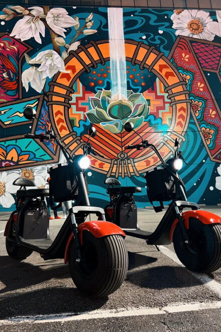Dallas Mural Fat-Tire Scooter Tour - Prohibited Items and Guidelines